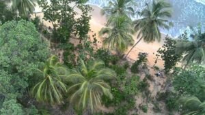 Terrains à vendre à Kribi: 12 incroyables opportunités à découvrir |Glorymmo