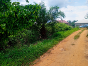 Terrain titré à vendre à Ekoko 2, Yaoundé à 30 euros le mètre carré